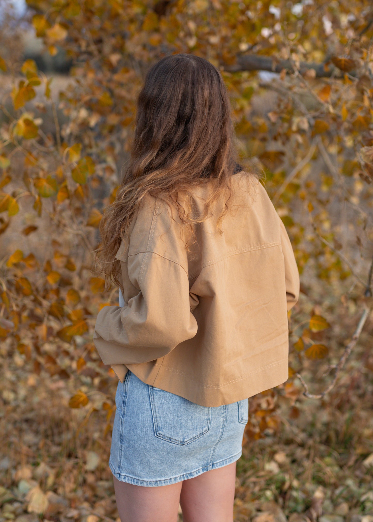 evermore jacket